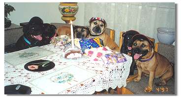 Birthday Party
