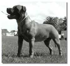 Bobby at 6 months