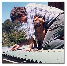 The working dog!
