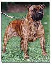 Booker at 14 months