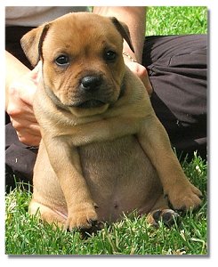 At 6 weeks