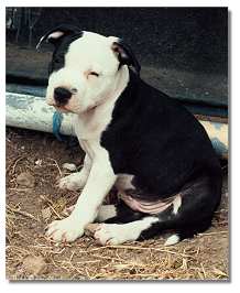 Please love me..