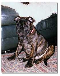 Lucy