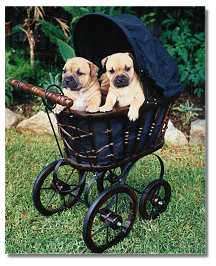 To the park