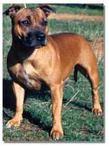 Prisy at 12 months