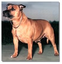 Prisy