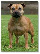 Lucy